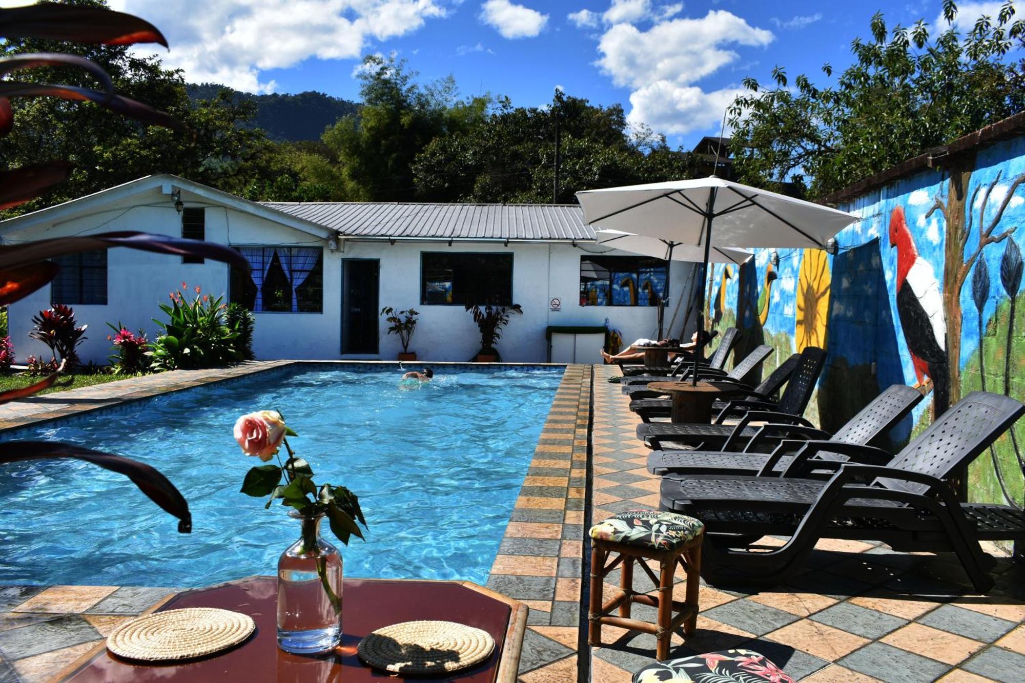 Casa De Piedra Hostel Mindo
